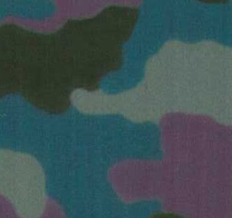Camo