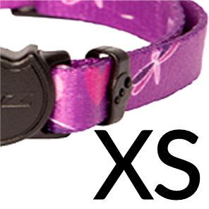 XS Purple
