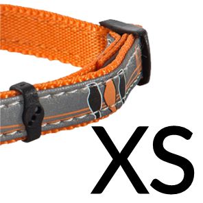 XS Orange